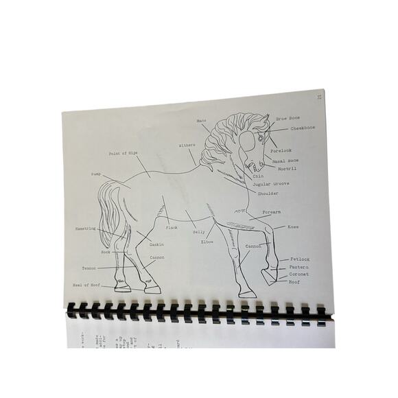 Carousel Horse Wood Carving Instruction Workbook Pattern Ken Hughes 1/3 Size - Picture 11 of 11